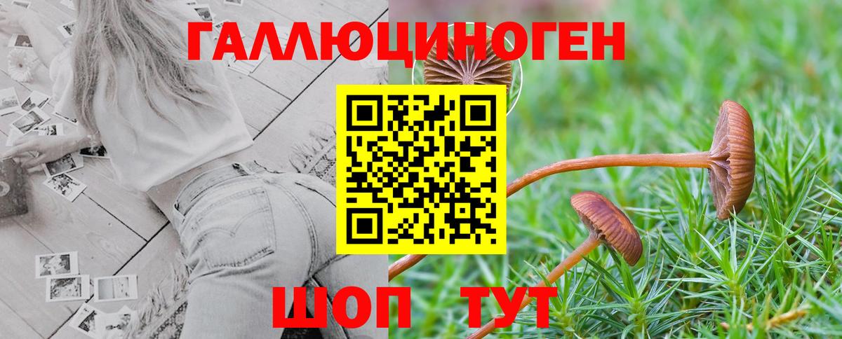 купить  цена  Псилоцибиновые грибы мицелий  Вход с VPN  Уфа 